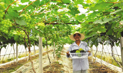 ��������Ʒ������