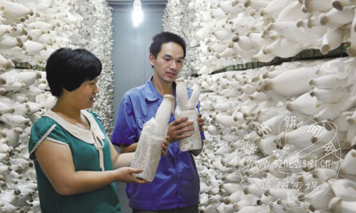 ��ǽ���ϳ��� Ԥ��7��5�ռ�������