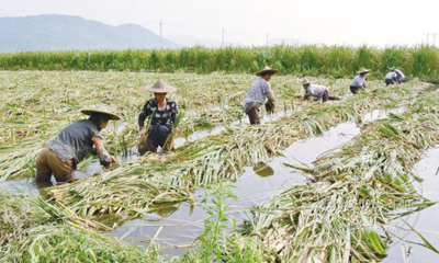 ��ʰ���� ��������