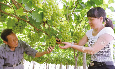 �ִ�ũҵ�츣ũ��