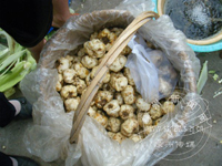 ���ʰٺ����м۸񲻷�