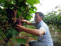 ��������ÿ��������26Ԫ