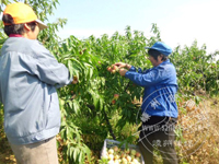 ˮ���������Ƴ�20�� Ч��������ɶ�