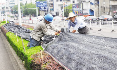 ������ �����ݲ�ҲҪ����