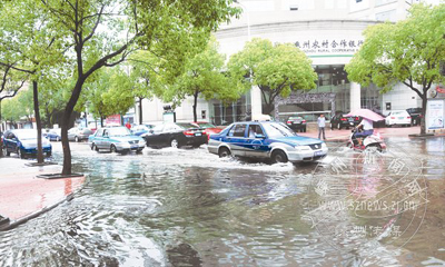 һ��������� �ֵ������