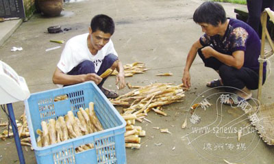 ��ɽ�ڳ���̬�� �������������