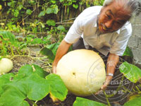 �����ټ� һ�����Ϲ��ش�49.5��