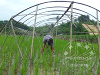 �˵����� ����������