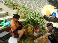 ���� �������ժ��������