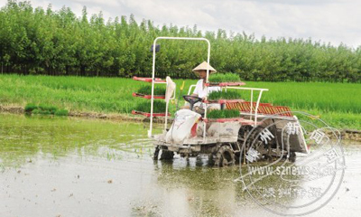 ��˫����ʱ�ڲ���æ