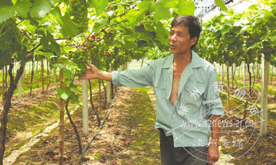 �����ũ���ѱ������༼������Ч