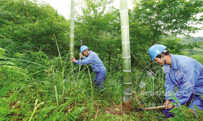 �������� ��������ȫ