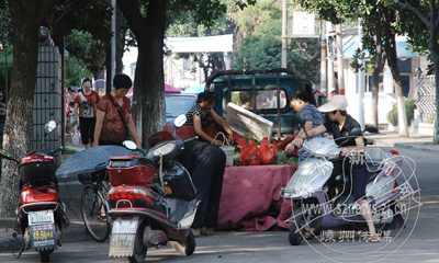 ��·��̯�ġ�è����Ϸ���������ˣ�