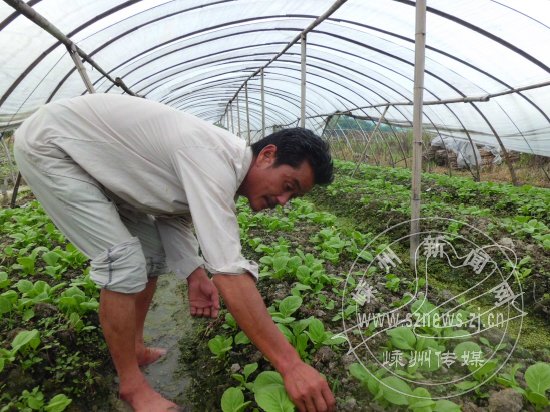 һ��Ϊ���߲˷���