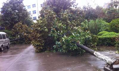 ������������ �̻���������ƺܡ����ˡ�