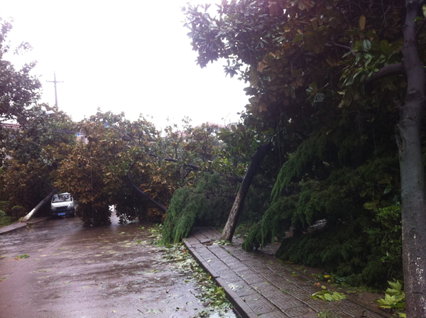 ������������ �̻���������ƺܡ����ˡ�