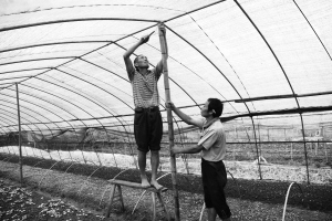 ���Ͽ�ӹ�һ�´��