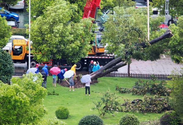 ���ù���������̨���������� ��԰��ȫ��ʩ��