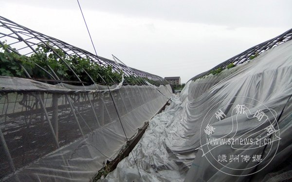 ̨�硰�������������ֹ�ҵ��������