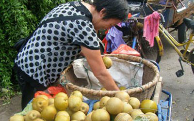 ��̨��Ӱ��  ���лƻ������