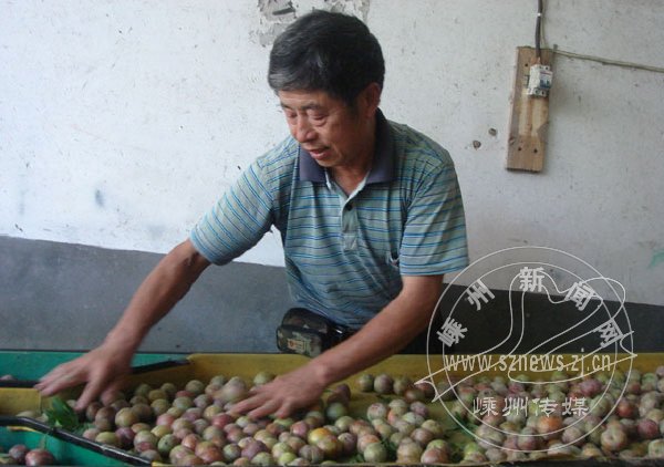 61���ũ�����������չ��� Ϊ�������ǽ���