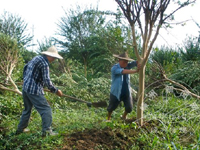 ������������ľ��æ�Ծ�