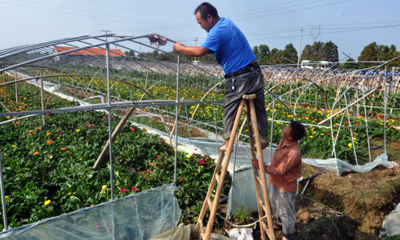 ̨�紵������ ��ũ�����Ծ�