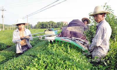 �����·�� ����ɲ�æ