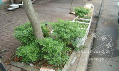 ���е����ˡ�����ռ䡱��