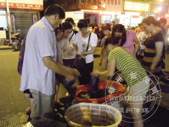 �̷�������Ϻ ����Χ����