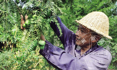 ����˹��ڷ۹�ʵ����