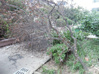 ̨�������С�����ε�������ȥ�δӣ�