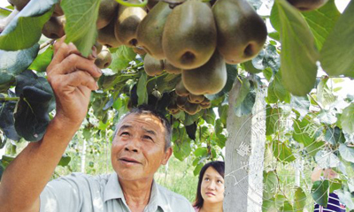 ⨺��ҿ�ժ�ο�������