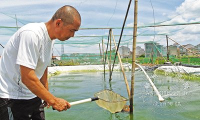 ˮ����ֳ�ᵵ�����������緱���ɹ�