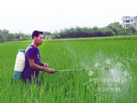 ̨��෢�� �������Ǽ�ǿ������