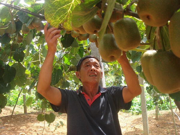 Ʒ�ָ������⨺��� �۸���5��