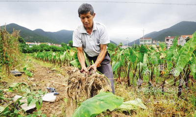 ����ܵ��һ��ũ������