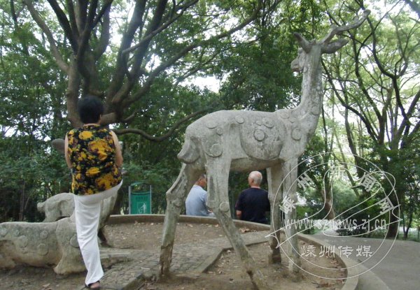 ������ʩΪ�����⡰��̤��