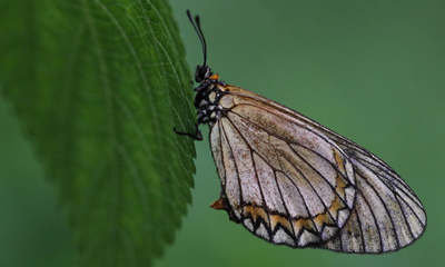 ���������㡿���������һ��