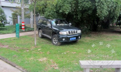 ͣ�������̤��ƺ