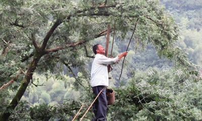 ��鼿�ժ ÿ��������չ���Լ74Ԫ