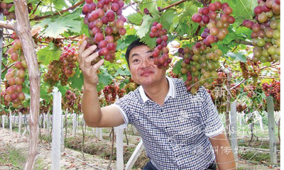 ����ɫ�޹����������Ӿ�����