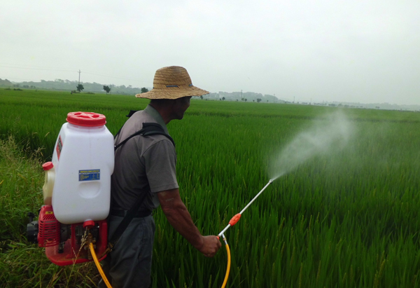 ����ಡ��  ũ��æ����