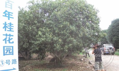 ����Ʈ�� ��ȥ��һ��