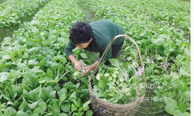 �߲����г� ��ũ�ֿ���