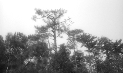 ���ݡ��������� ���ú�Ҳ������ʧ