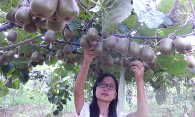 ��ѧ��ҵ�� �ش���԰