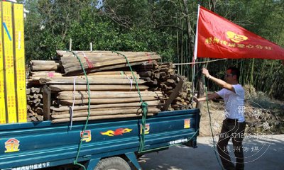 С���ҷ��ӿ�ʼ�޽� ���Ĺ�������ȥ4����������