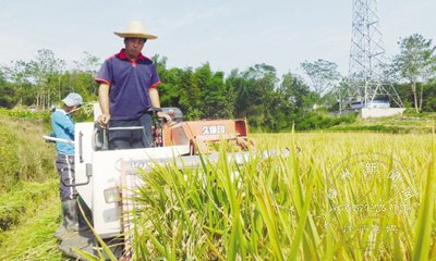 �������տ����ո�