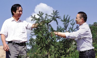 ����ҵ������ũҵ ��ɽ������鼻���